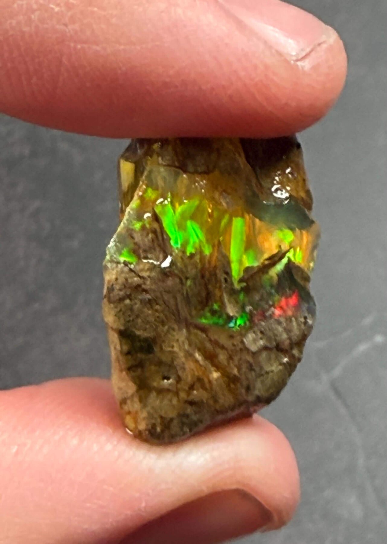 Ethiopian Crystal Opal Rough 20.91 ct with Multicolor Play of Color, view 3 of 6