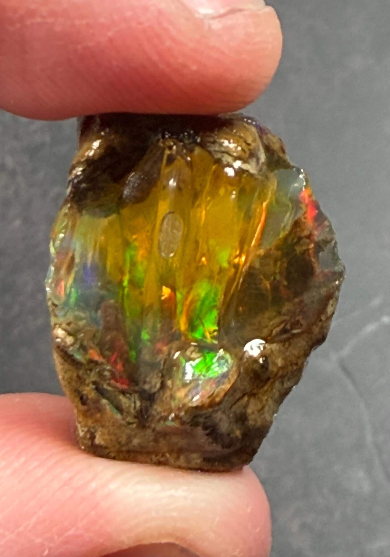 Ethiopian Crystal Opal Rough 20.91 ct with Multicolor Play of Color, view 5 of 6