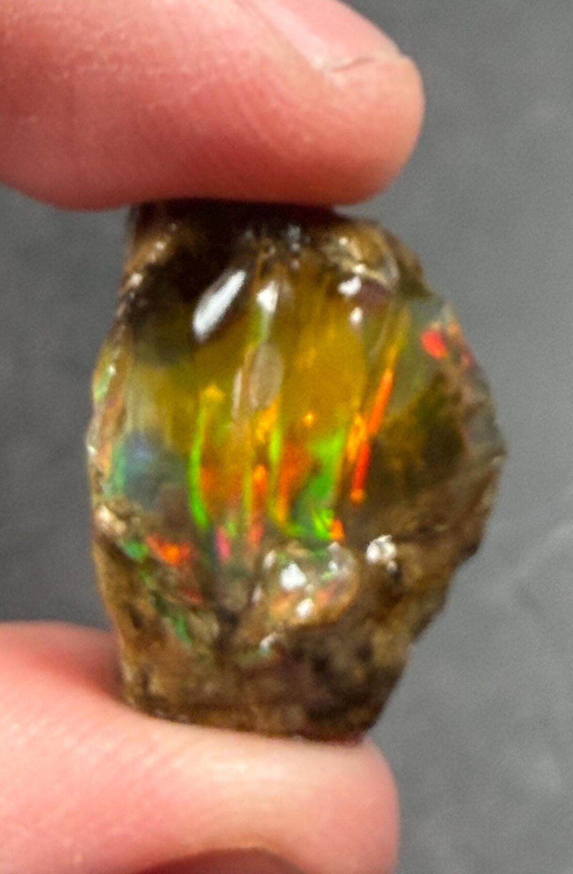 Ethiopian Crystal Opal Rough 20.91 ct with Multicolor Play of Color, view 4 of 6