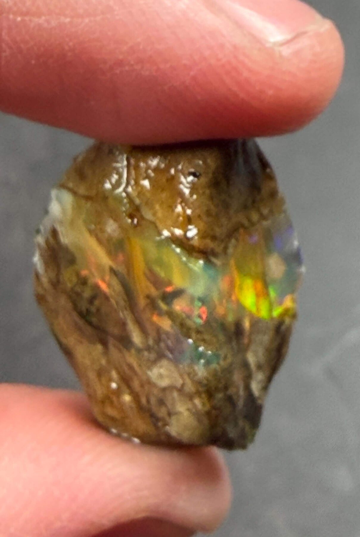 Ethiopian Crystal Opal Rough 20.91 ct with Multicolor Play of Color, view 6 of 6